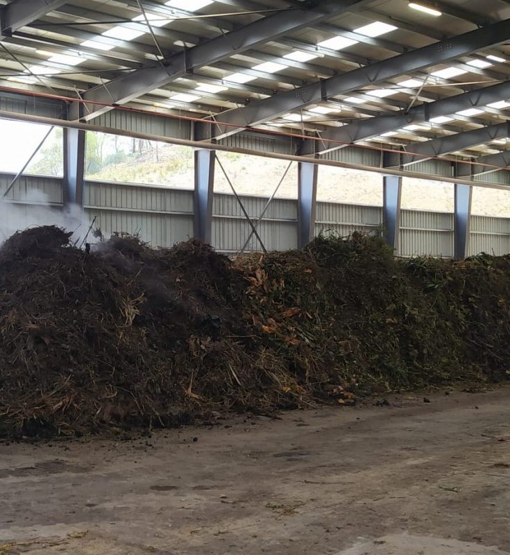 RESULTADOS DE LA SEPARACIÓN DE RESIDUOS ORGÁNICOS